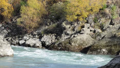 A fast-flowing river navigates rocky terrain in Queenstown, New Zealand, surrounded by autumn foliage under natural daylight