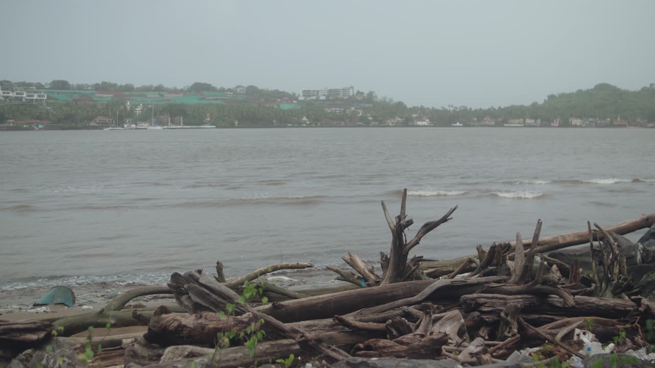 Overcast wide shot from Panjim shows the Nerul and Reis Magos shoreline, with uprooted driftwood in foreground and visible hillside destruction highlighting land grab controversy and landslide risk