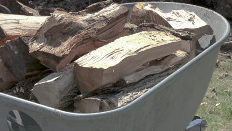 Loading-firewood-into-a-wheelbarrow