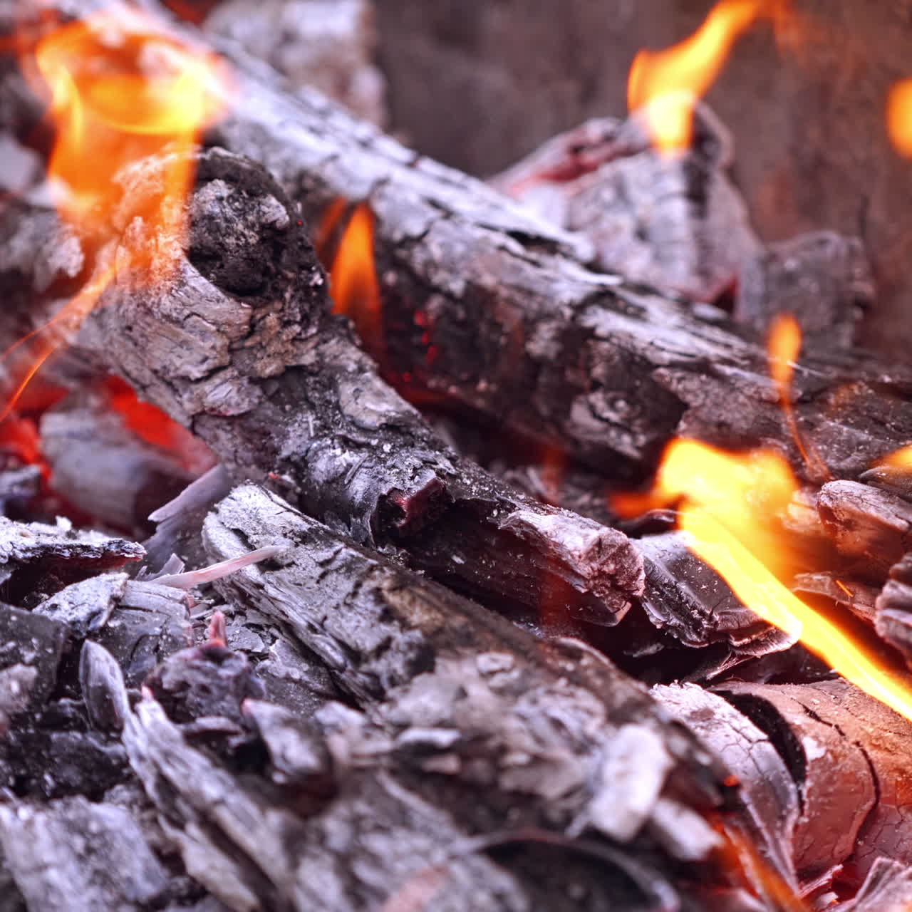 Hundred dollar banknote burning on firewood. Burning up wood and one hundred dollar bill falling into the fire. Burning money. Close-up.