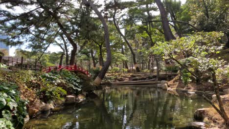 peaceful pond in a serene park setting