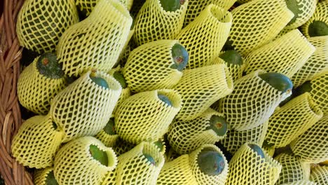 close-up of avocados in netting