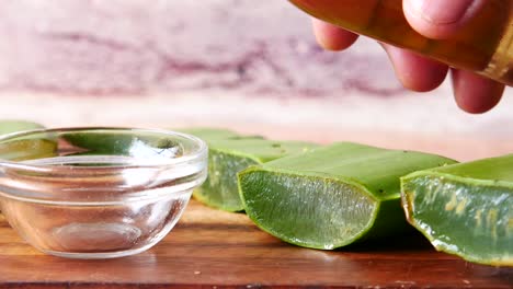 extracción y aplicación del aceite de aloe vera