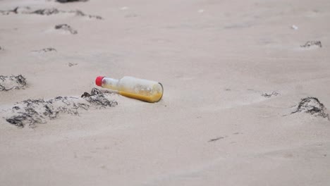 small glass bottle on the coast, trash and waste litter on an empty baltic sea white sand beach, environmental pollution problem, overcast day, medium shot