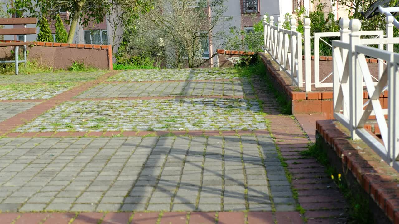 젊은  ⁇ 기 거리