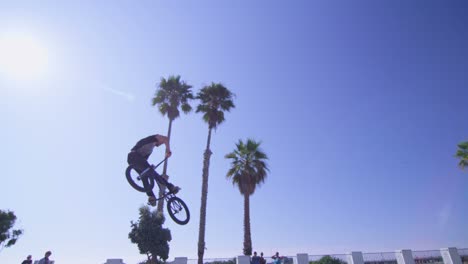 a bmx bike rider executes a high jump at a skatepark 2