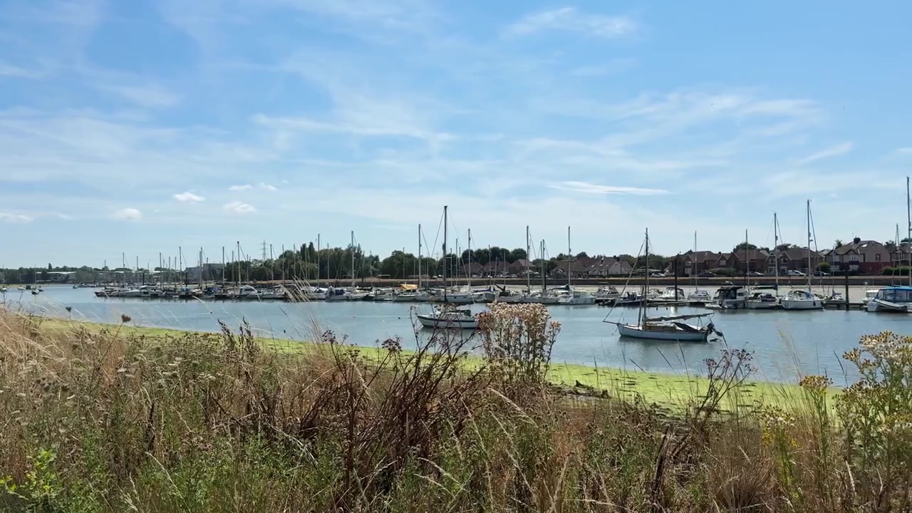 Fortøjede både og yachter i Fareham lystbådehavn på en solrig sommerdag i England.