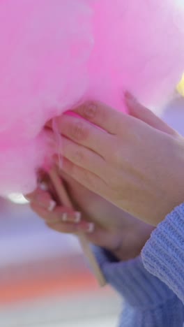 close-up of hands holding pink cotton candy
