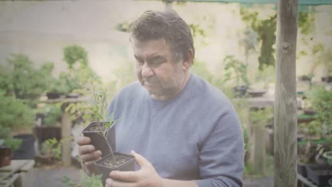 Spot-of-light-against-caucasian-senior-man-holding-two-plant-pots-in-the-garden