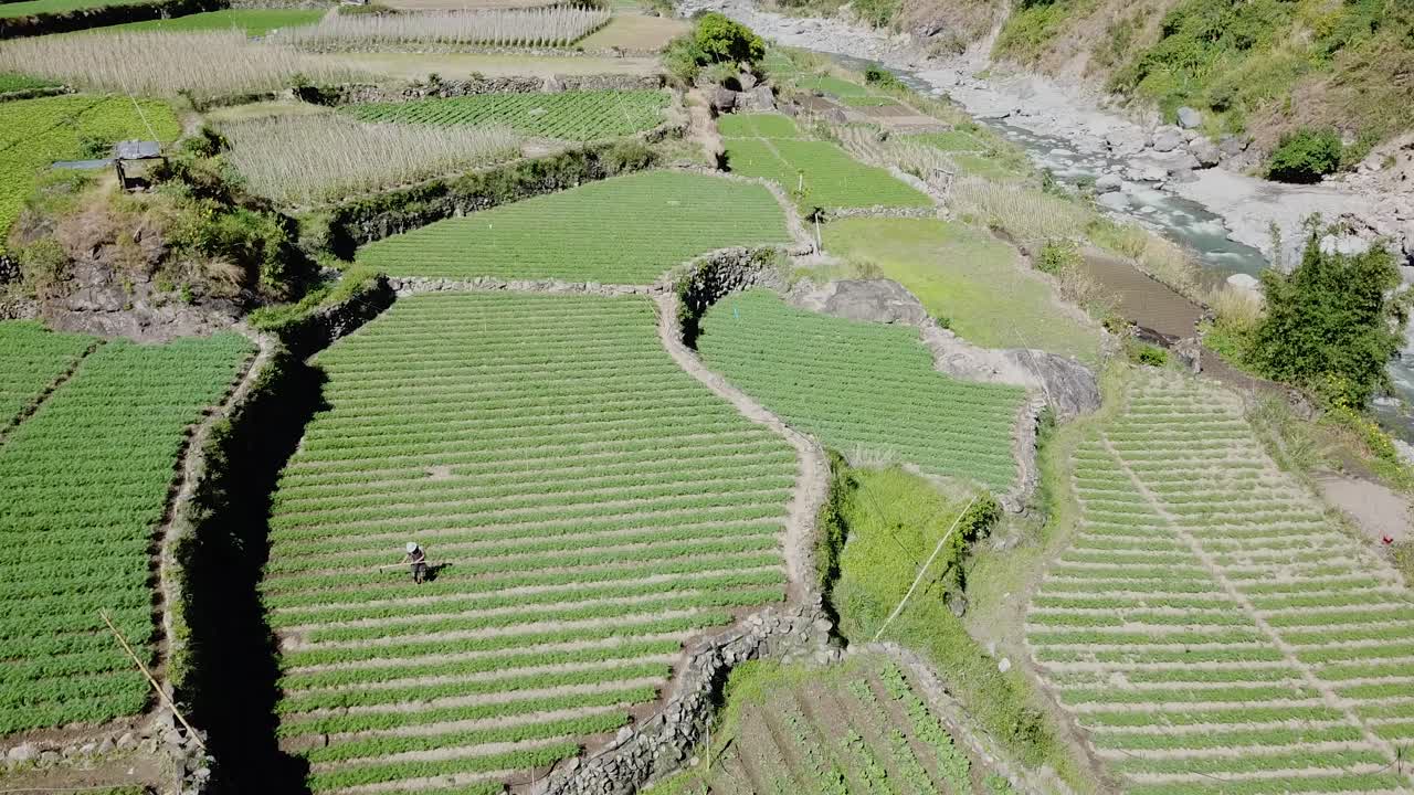 los agricultores labran su verde jardín de arrozales a mano con sombreros de paja en las granjas de arroz de kabayan benguet, filipinas, vista de arriba hacia abajo acercándose a la antena.