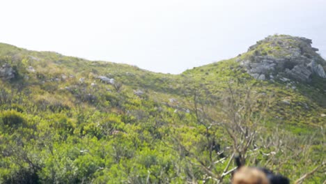 male hiker shielding eyes while walking in countryside 4k