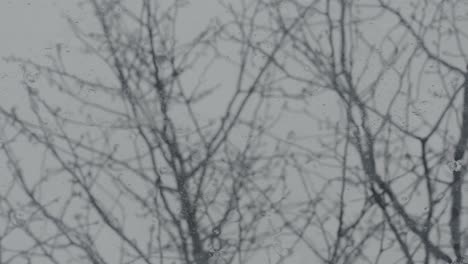 Rain-Hitting-Skylight-Window-With-Trees-Swaying-In-The-Background