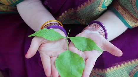 Anhänger-Hält-Heiliges-Aegle-Marmelos-Oder-Bael-Blatt-In-Der-Hand-Aus-Einem-Anderen-Blickwinkel-Am-Tag