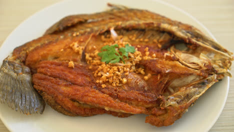 fried sea bass fish with garlic on plate