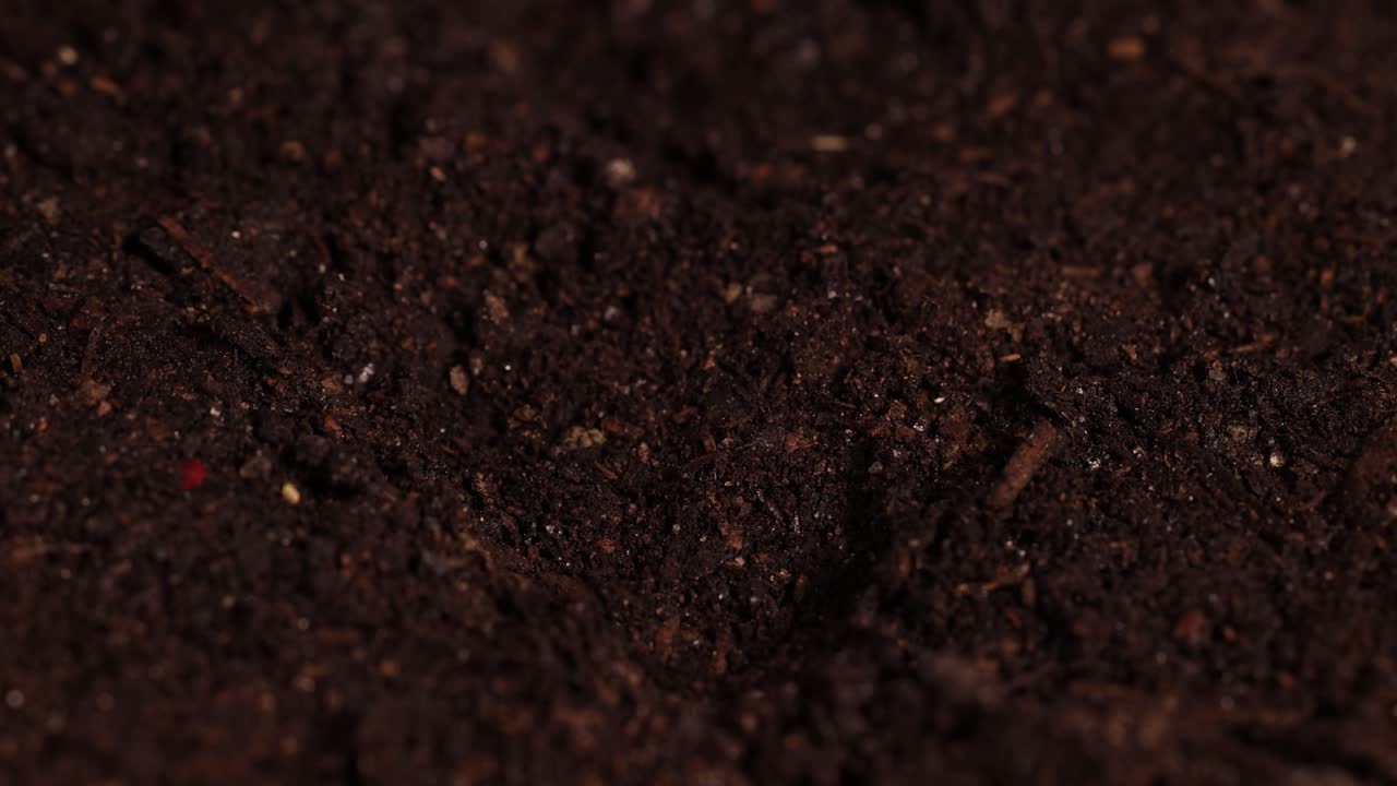 A hand plants a seed in soil, followed by watering. Close-up shots highlight the process in a controlled environment