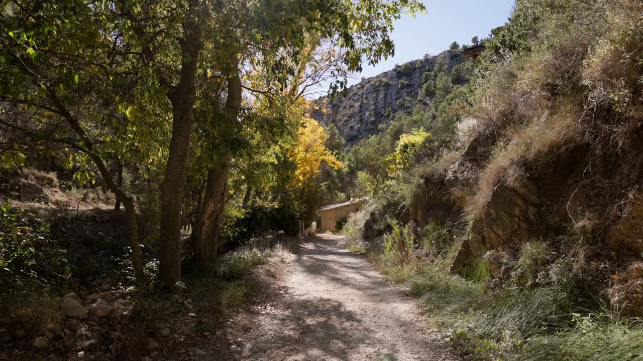 camino en el bosque mediterráneo con álamos, árboles, pasando cerca de una cabaña de piedra