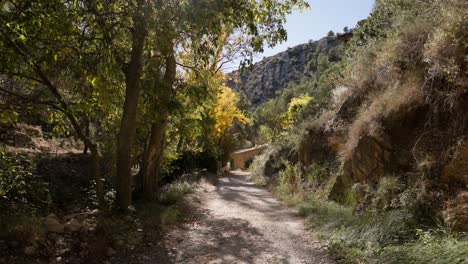 path in mediterranean forest with poplars, trees, passing near a stone cottage