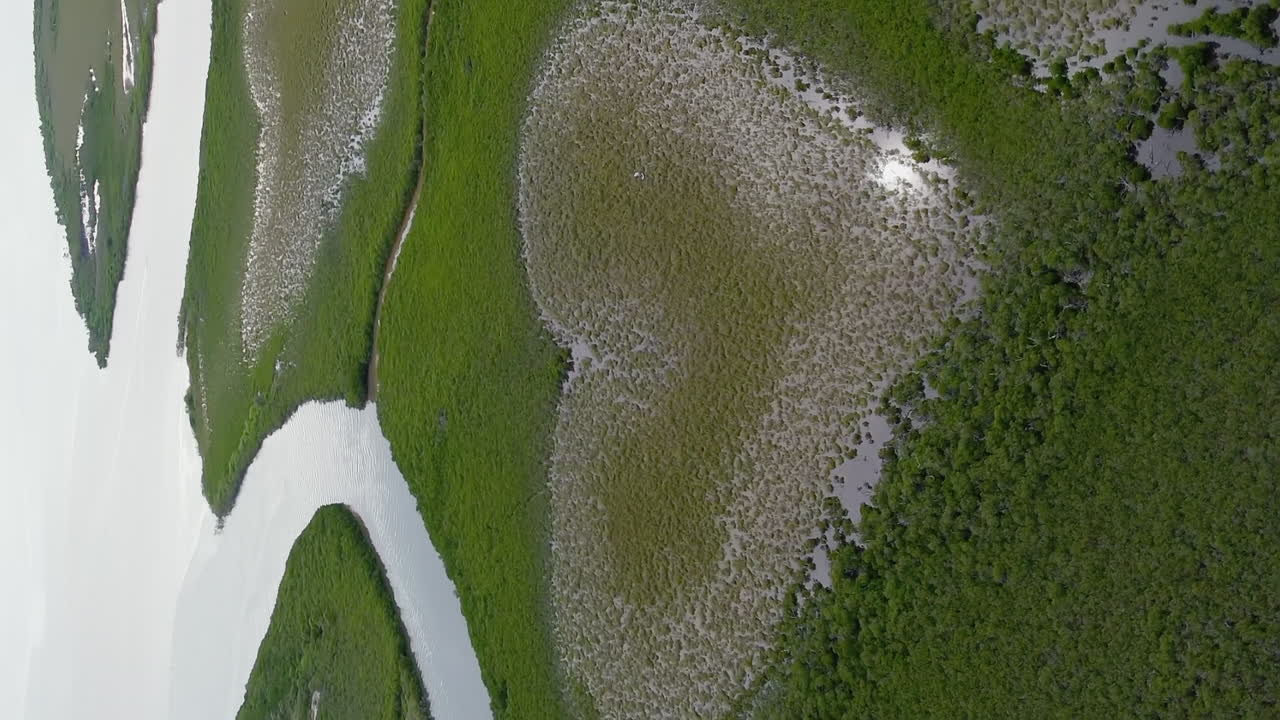 el famoso corazón de voh en los manglares de nueva caledonia