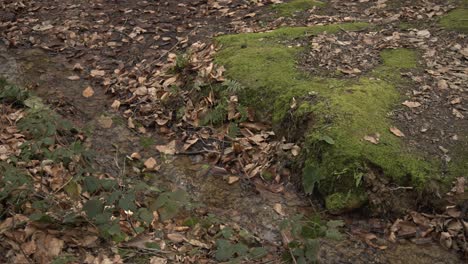 slow motion stock footage of calm water and lakes rippling