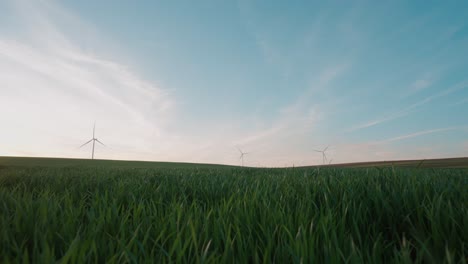 Windräder-Drehen-Sich-Anmutig-über-Einem-üppigen-Grünen-Feld-Unter-Einem-Heiteren-Himmel