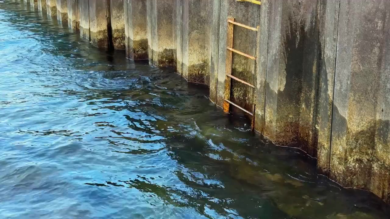 L'acqua incontra il cemento di un molo con una scala lungo la parete, di giorno, vicino alla riva di un fiume o di un lago.