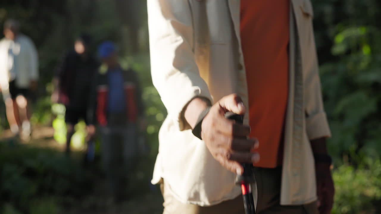 숲에서 그룹 하이킹