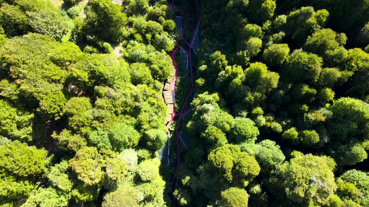 낮, 코냐리페, 칠레의 숲으로 둘러싸인 협곡의 테르마스 기하학스 온천 단지 위로 공중 하향식