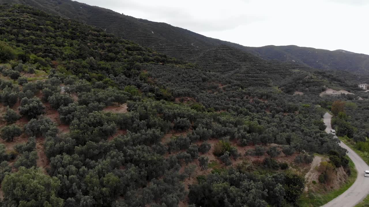 자동차가 터키 능선을 통과하는 동안 숲을 통해 공중 전진 비행