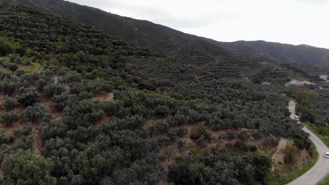 vuelo aéreo hacia adelante a través del bosque mientras los autos pasan por ridgeway, turquía
