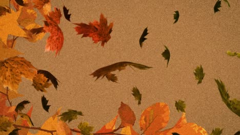 Animation-of-multiple-autumn-leaves-falling-on-brown-background