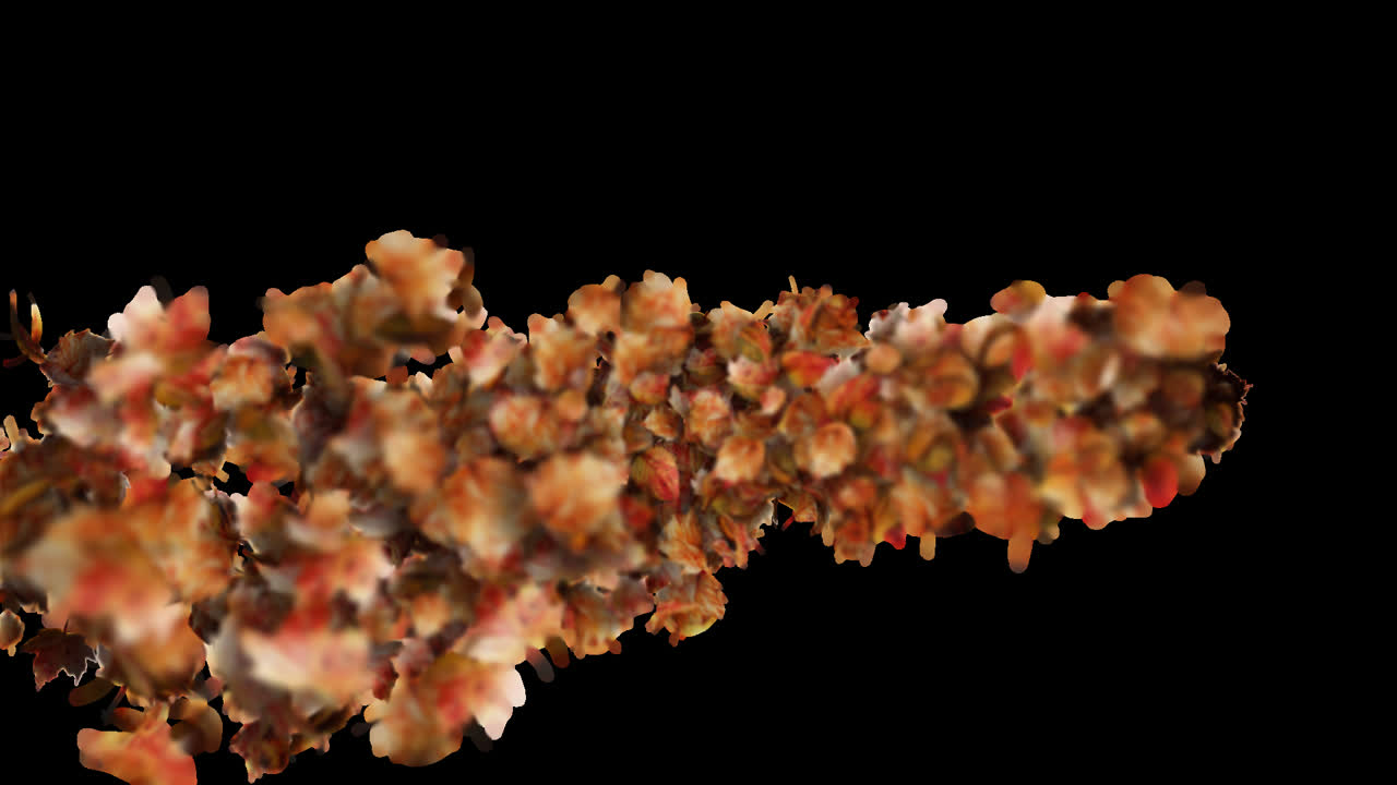 Autumn Leaves Transition or Reveal Element with Alpha Channel