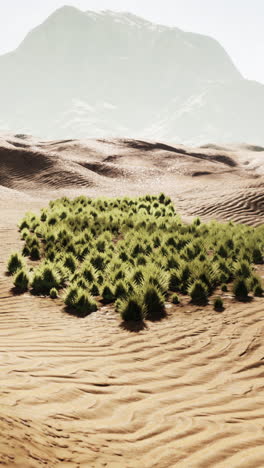 desert oasis: lush green plants amidst sand dunes and mountains