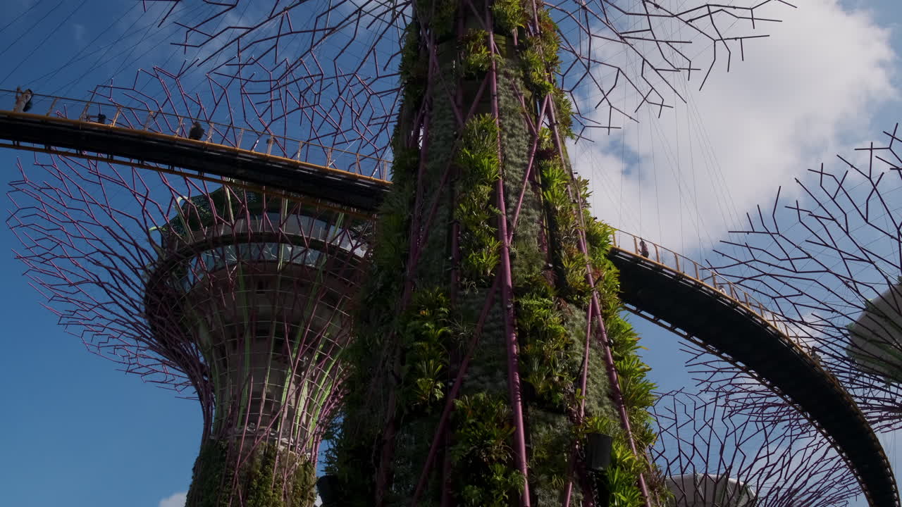 el bosque de superárboles en los jardines de la bahía, singapur