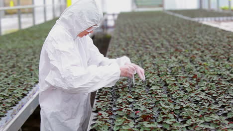 Scientist-standing-at-the-greenhouse-while-working-