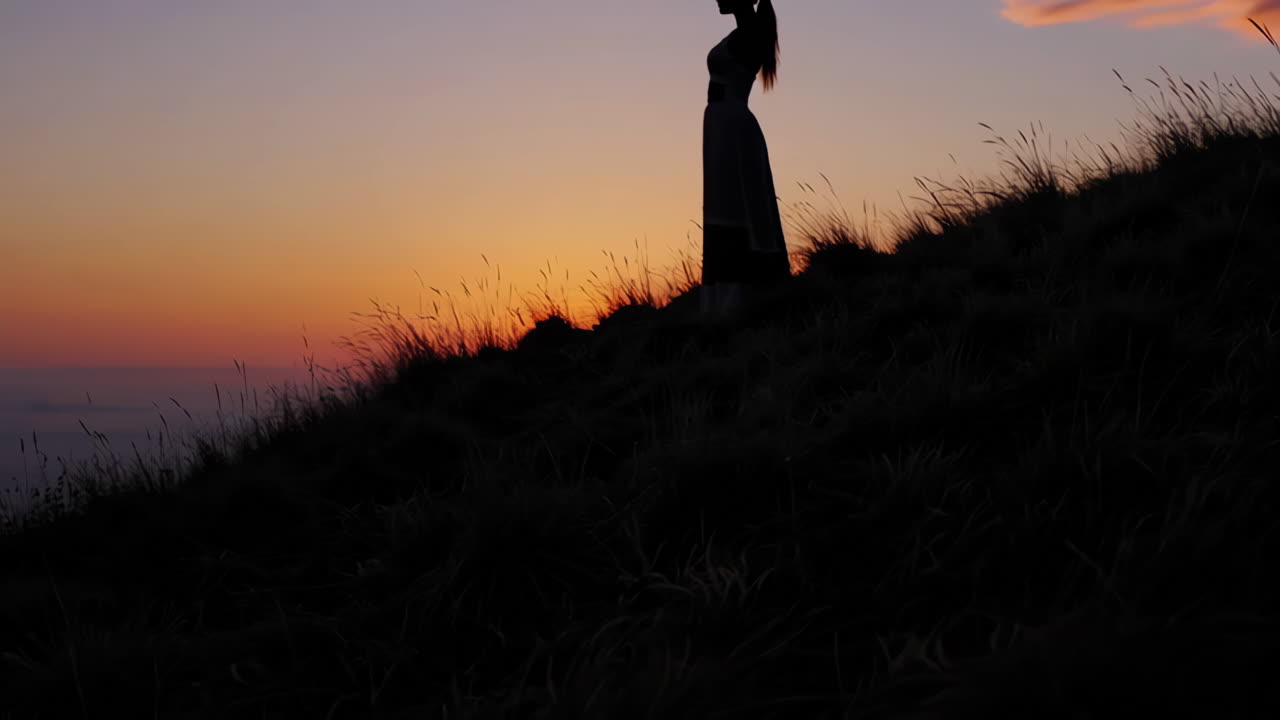 해가 지는 여자 의 실루