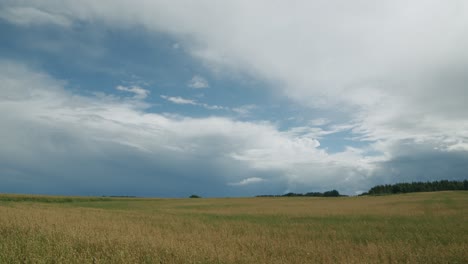 fluffy storm rain clouds cumulonimbus stratocumulus time lapse with oat field in foreground