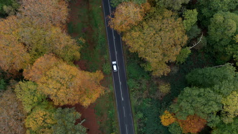 A-country-road-running-through-autumn-woodland-as-seen-from-the-air,-Worcestershire,-England