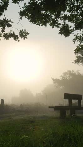misty morning landscape with silhouetted hiker and park bench