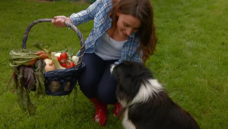 Hübsche-Junge-Frau-Mit-Einem-Korb-Voller-Gemüse,-Die-Einen-Hund-Streichelt