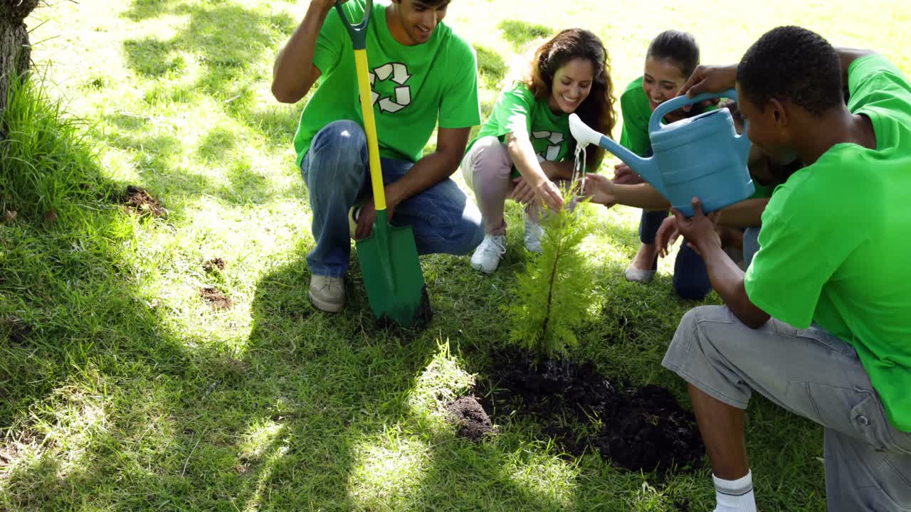 activistas ambientales regando un nuevo árbol en el parque