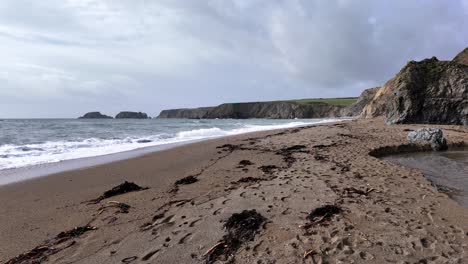 playa de primavera temprana con algas y huellas en la arena waterford irlanda