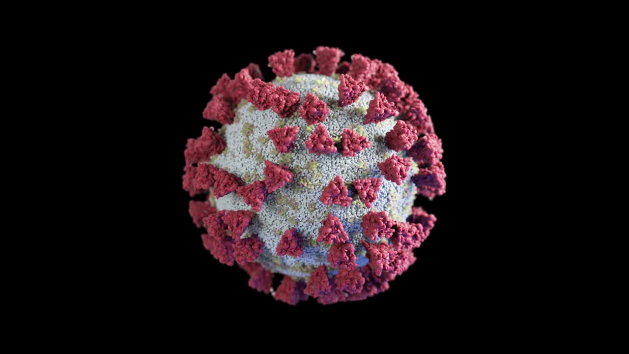 rotación de una molécula de virus en un fondo aislado negro