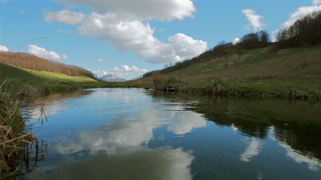 Static shot of a clean and drinkable mountain stream with aquatic plants