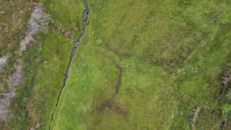 Drone-shot-looking-down-on-a-creek-near-Glenniff-Horseshoe