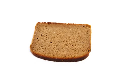 una sola rebanada de pan sobre un fondo blanco
