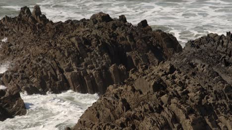 wide shot of sea crashing into jagged sedimentary rocks in the cornish sea at hartland quay, stoke, hartland, bideford