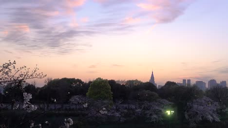 Langsamer-Schwenk-über-Die-Wunderschöne-Skyline-Von-Tokio-Bei-Sonnenuntergang-Mit-Kirschblütenbäumen