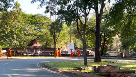 monks walking in a park or zoo