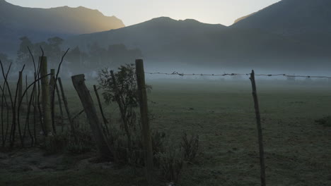 abandoned rural rugby field in south africa