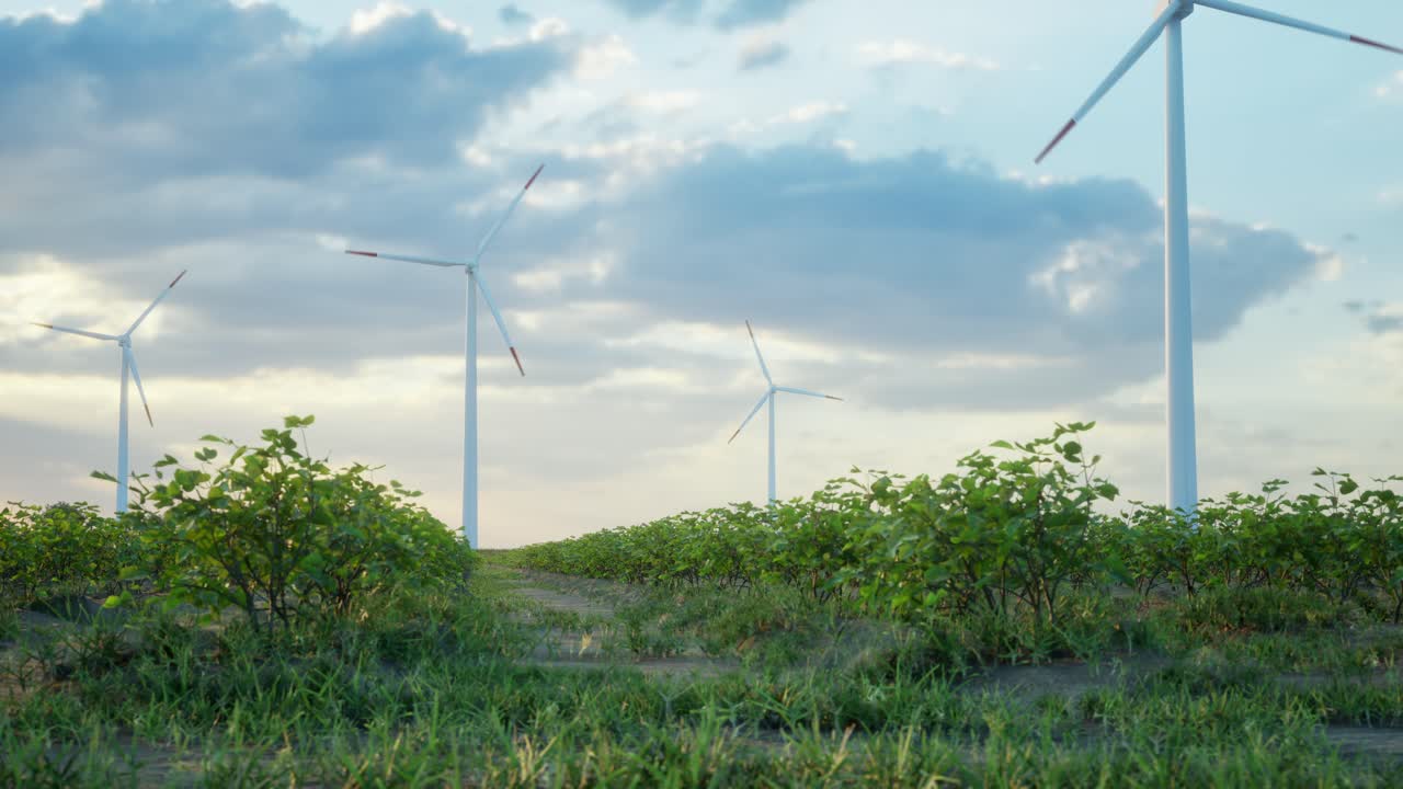 에 서 있는 풍력 터빈. 풍력 터핀을 가진 농장. 깨한 재생 가능한 에너지를 생산하는. 밝은 오렌지색 해가 지는. 대체 에너지.